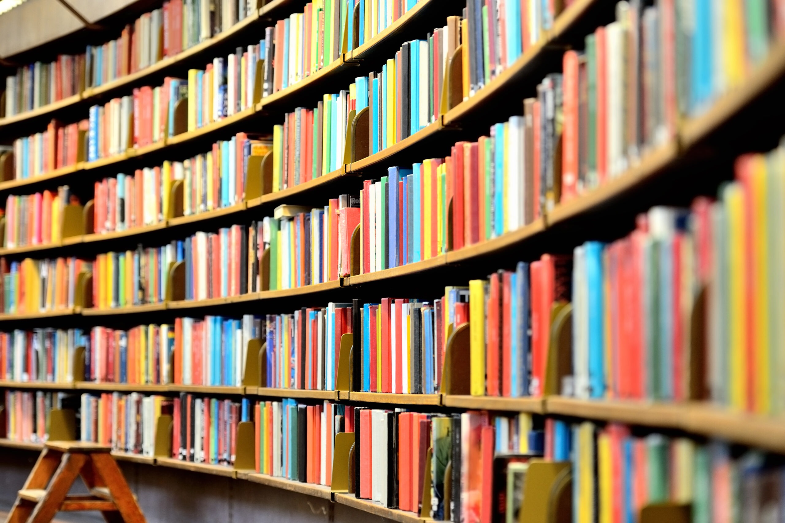 Vibrant bookshelves curve along a library wall, filled with colorful book spines. A wooden ladder leans against the shelves, inviting exploration.